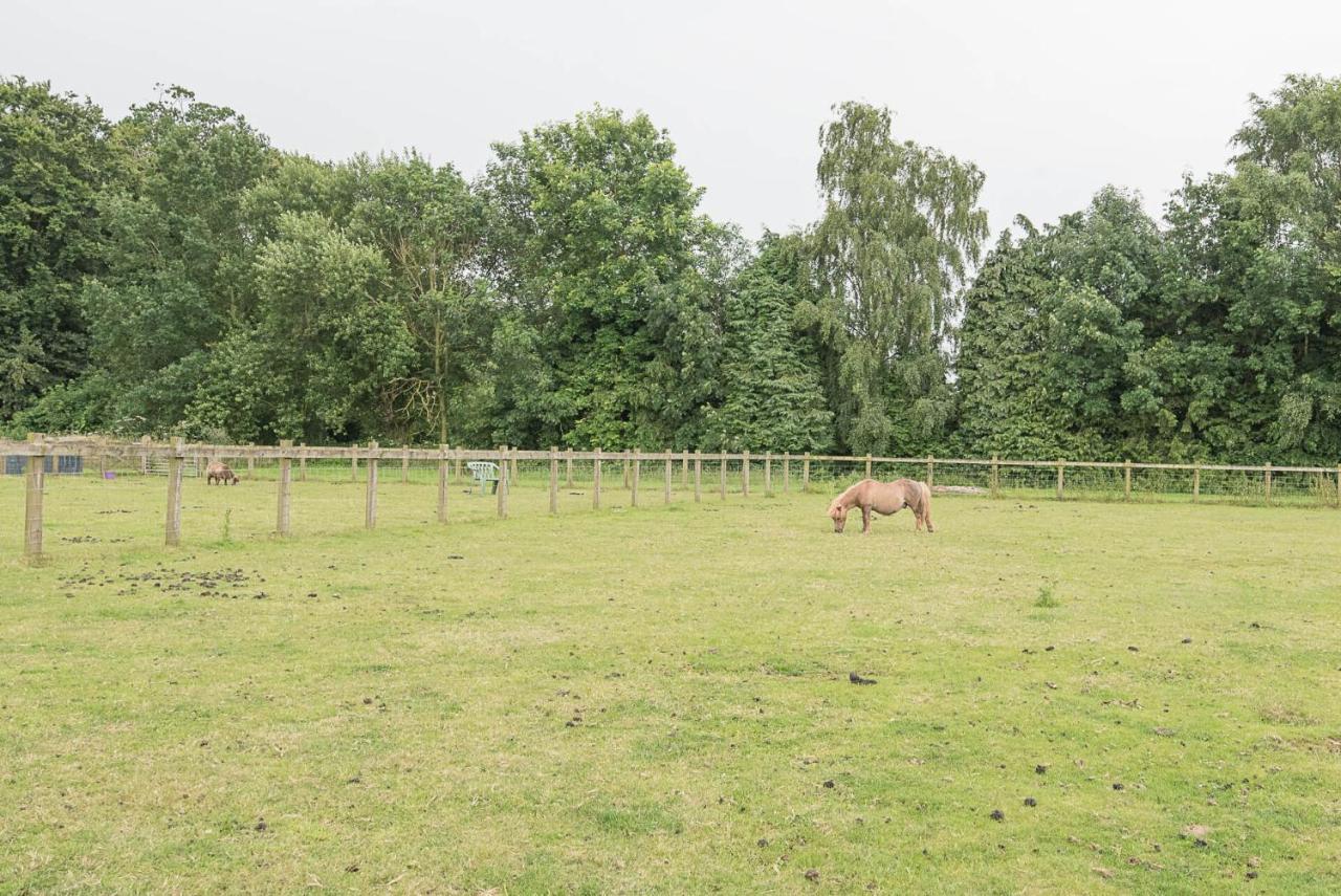 Grove Farm Bungalow With Swimming Pool, Dallinghoo Woodbridge Exterior foto